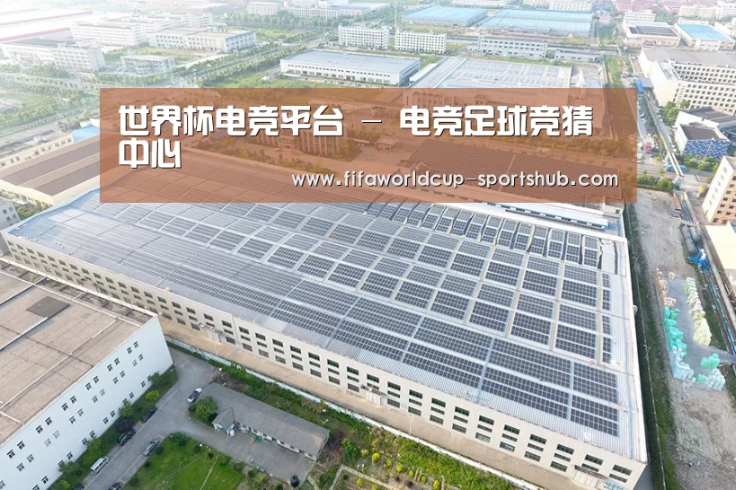 案例展示二