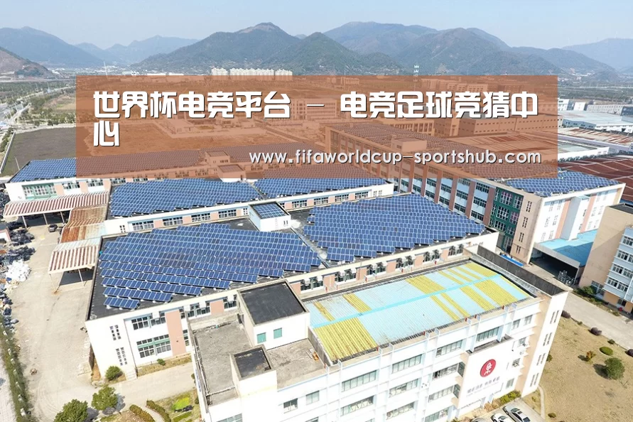 案例展示四