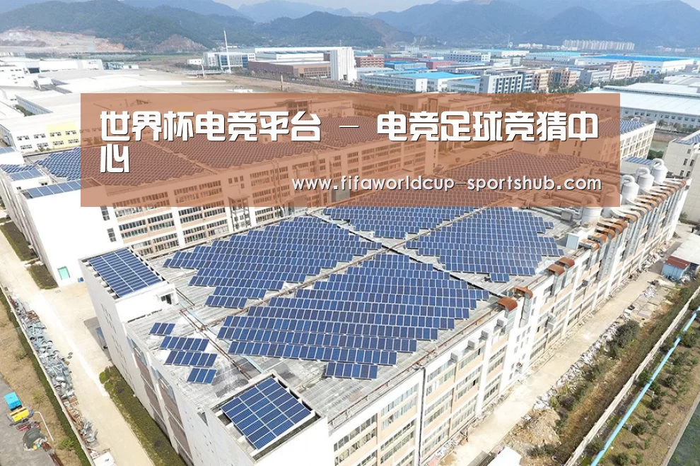 案例展示二