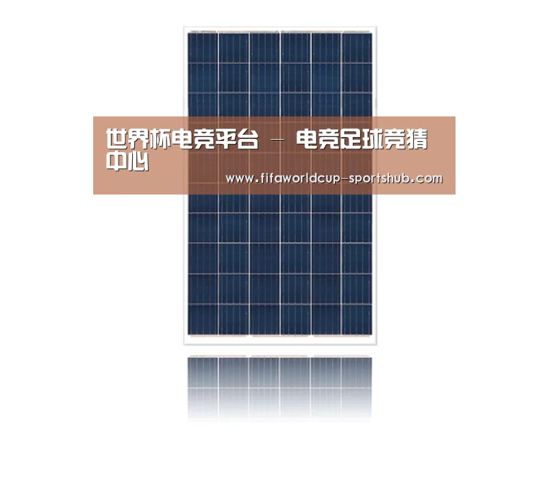 产品名称四