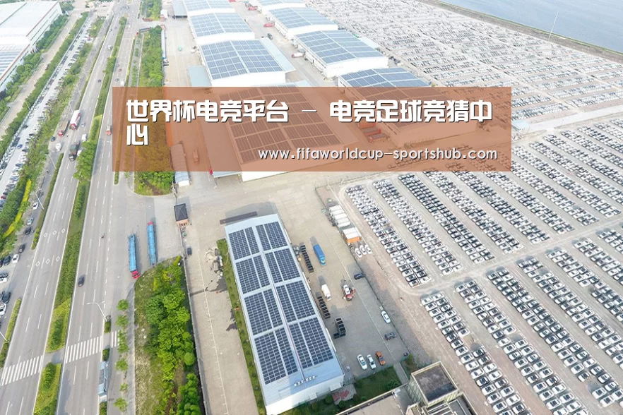 案例展示一