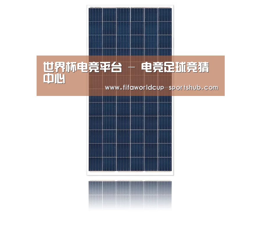 产品名称一