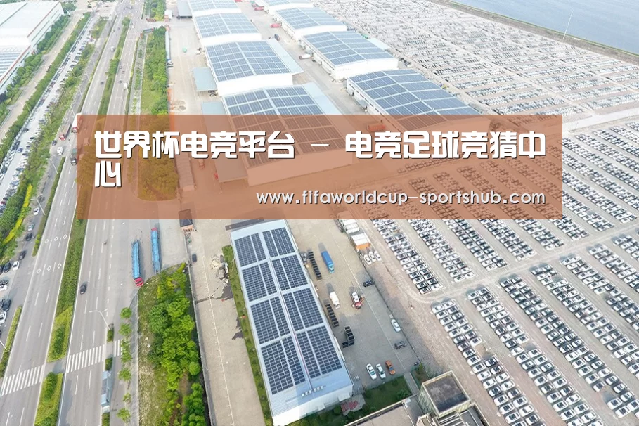案例展示三