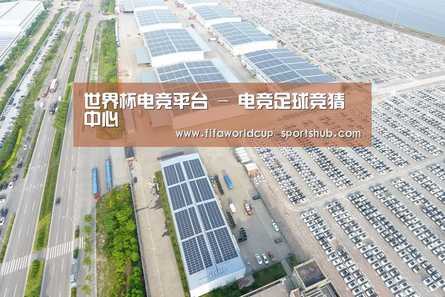 案例展示二