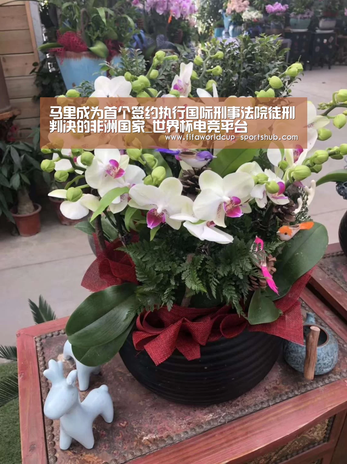 马里成为首个签约执行国际刑事法院徒刑判决的非洲国家_世界杯电竞平台(图1) 世界杯电竞平台