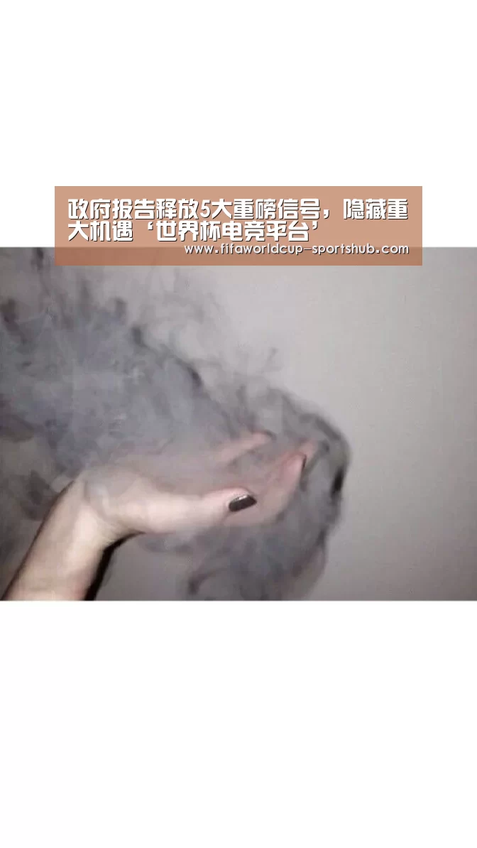 政府报告释放5大重磅信号,隐藏重大机遇‘世界杯电竞平台’(图3) 世界杯实时比分